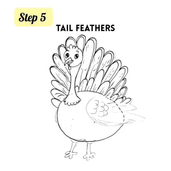 Step 5 how to draw a turkey step by step — clean final outline ready for coloring
